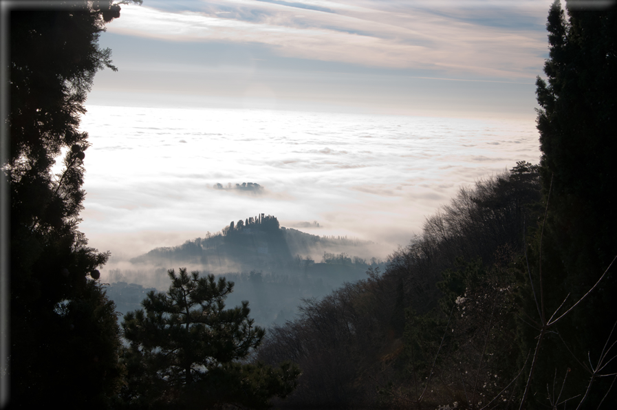 foto Colline di Romano d'Ezzelino nella Nebbia